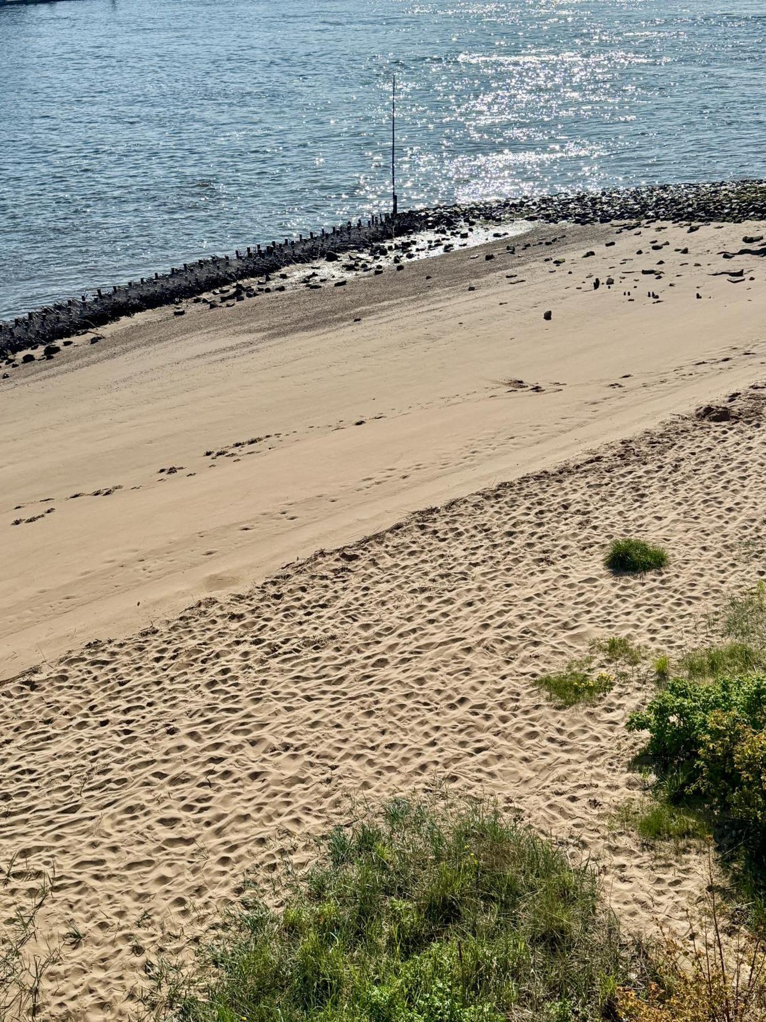 Privatunterkunft Gaestehaus Weserblick Am Weser-sandstrand Berne